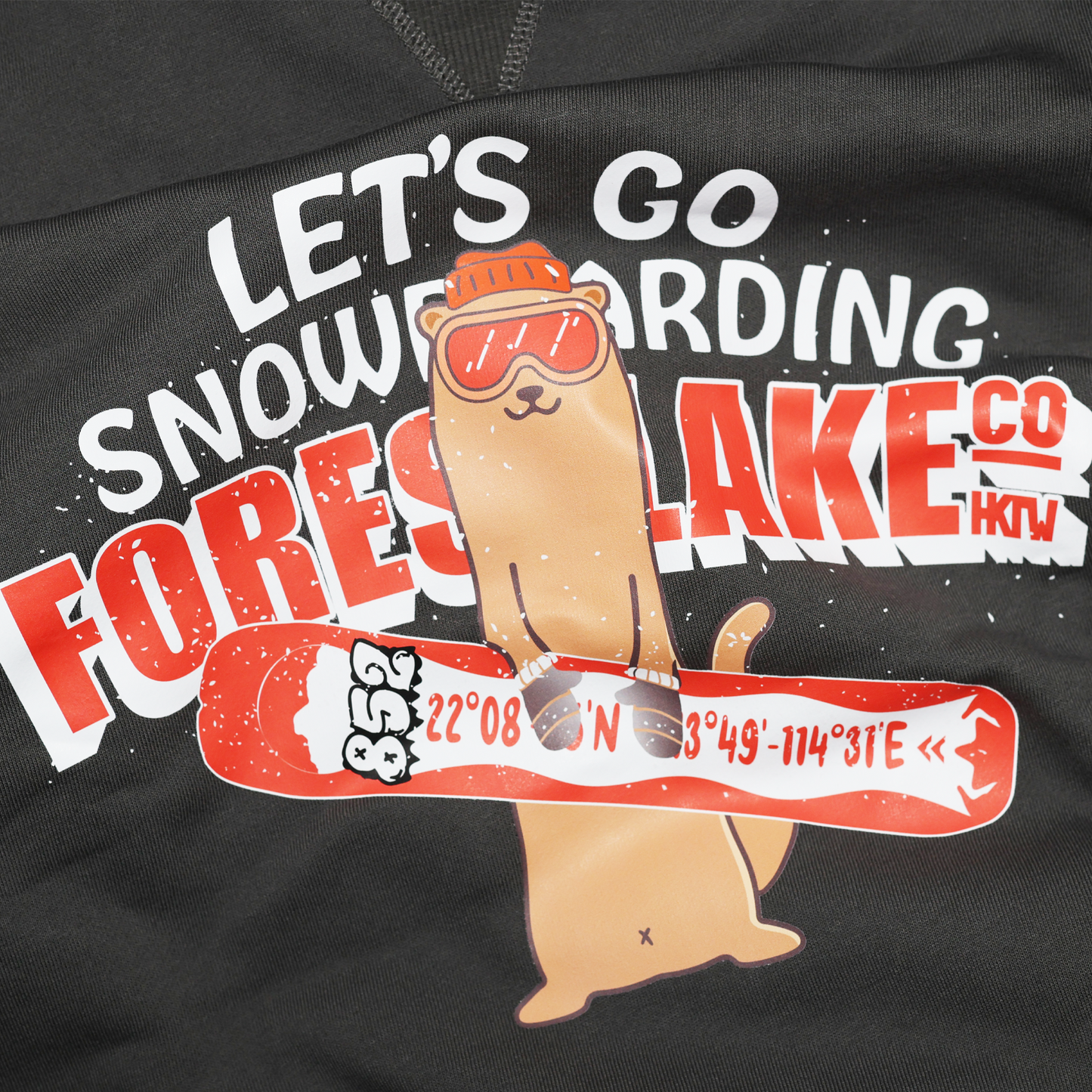 852 SNOWBOARDING FL-005