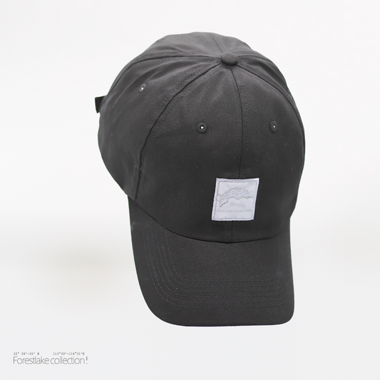 Reflective LionRock Cap | COTTON | BLACK