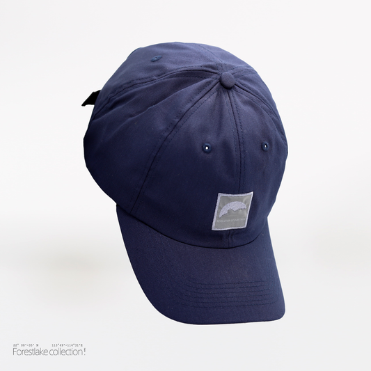 Reflective LionRock Cap | COTTON | NAVY