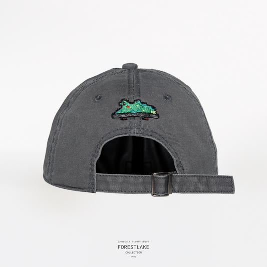 PIXEL LIONROCK CAP | 水洗灰